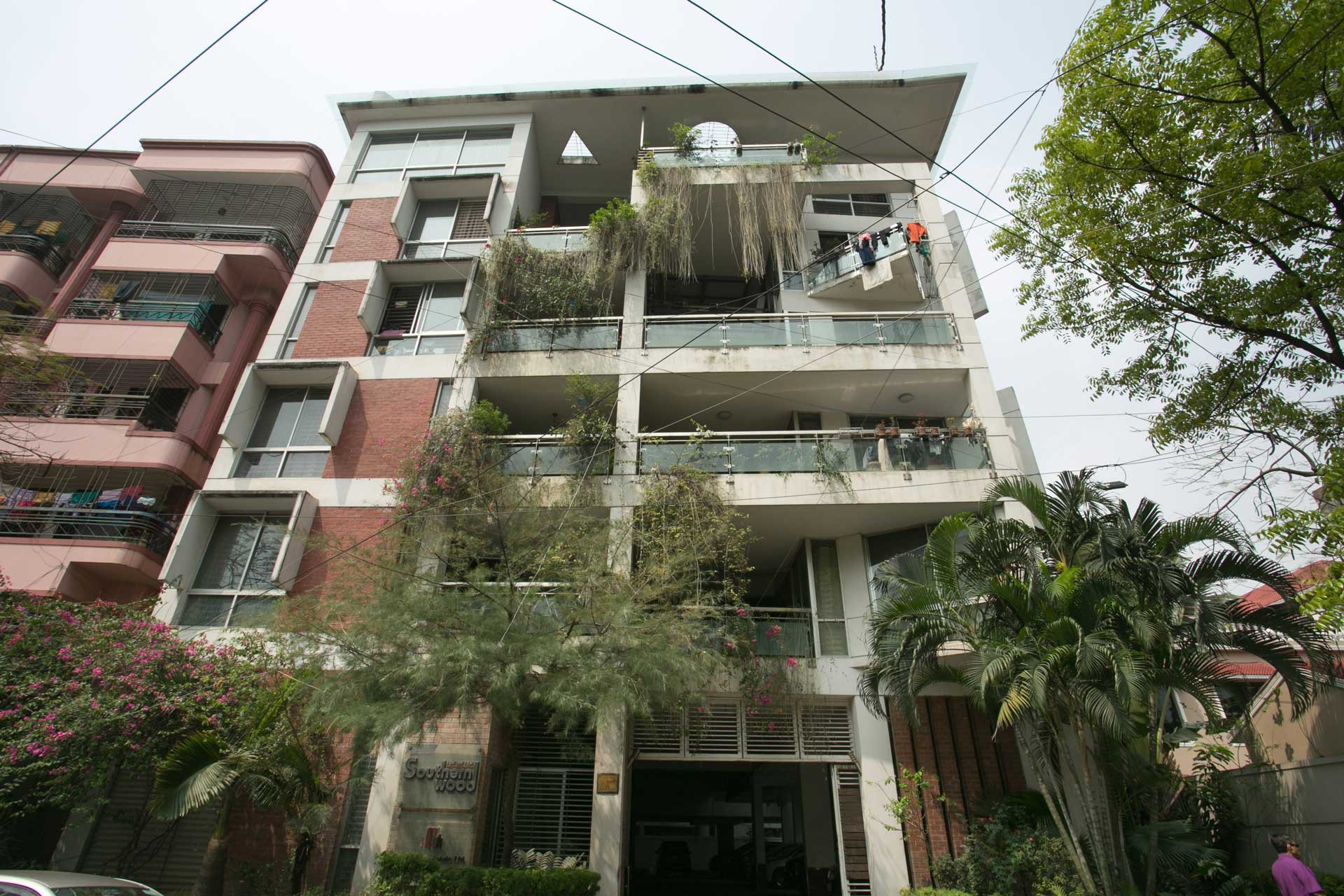 Navana Southern Wood